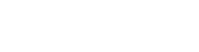 Heiland Vision