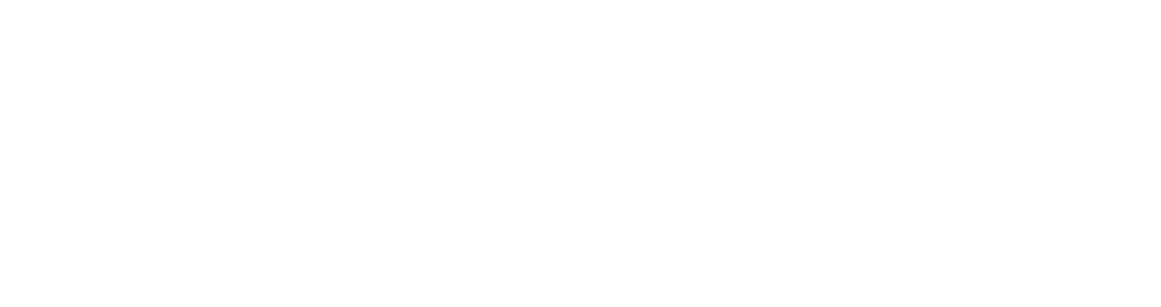 Heiland Vision